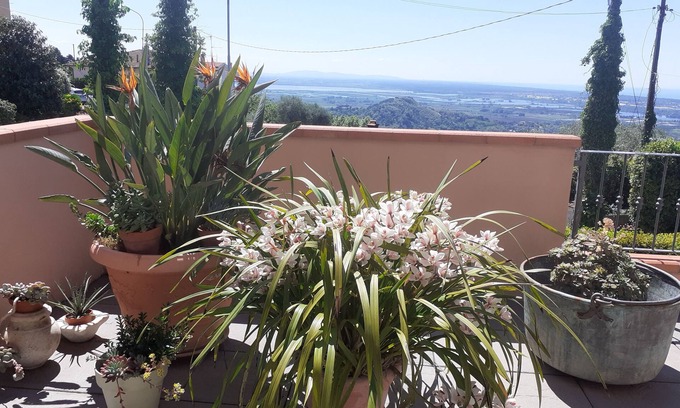 Corsanico-Bargecchia Apartment | Scenic Hillside Apartment with Garden & Ocean Views