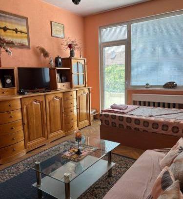 Sofia City Center Apartment | Central Apartment11 in Sofia: Pet and Child Friendly Stay