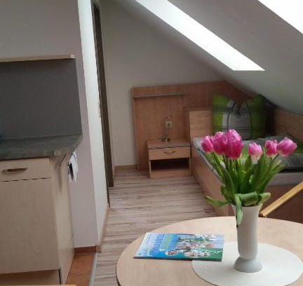 Zwenkau House | Budget-Friendly Apartmenthaus Zwenkau with Kitchen Amenities