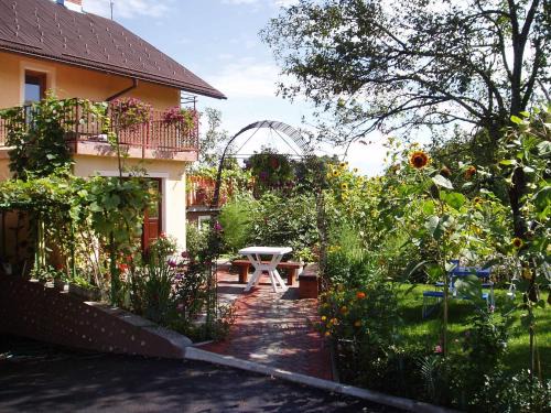 Catrnja Apartment | Pet-Friendly Retreat at Apartments Ana - 8.5/10 Rated Stay