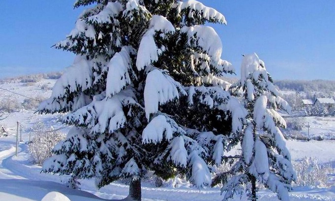 Ostarski Stanovi Apartment | Comfortable Apartments and Rooms Jelena in Ostarski Stanovi