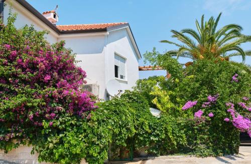 Cove Murtar Apartment | Oceanfront Apartments Antares: Guest Rated 9.8/10