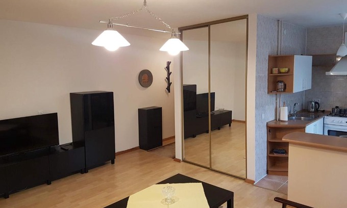 Panevezys Apartment | Kid-Friendly Apartments in Panevezys City Center