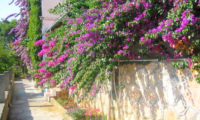 Island Hvar Apartment | Discover Apartments Jelka: Family-Friendly Retreat in Jelsa