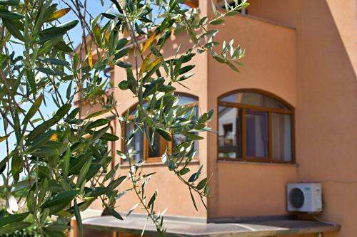 Valica Apartment | Scenic Oceanfront Apartments Kanegra with Great Ratings