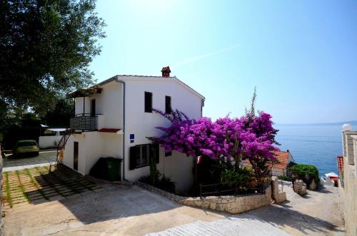 Okrug Gornji Apartment | Top-Rated Apartments Katica: Oceanfront & Pet Friendly