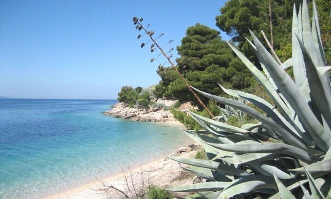 Murvica Apartment | Cozy Apartments Nada with Pool and Ocean View in Bol