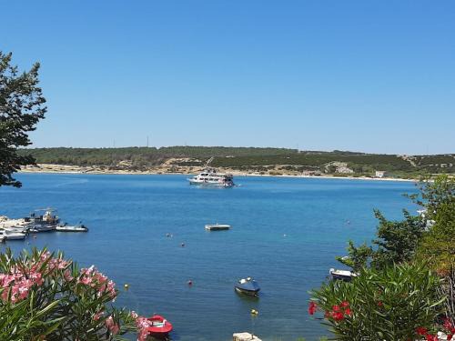 Caska Apartment | Inviting Oceanfront Apartments Nikola Caska with Child-Friendly Amenities