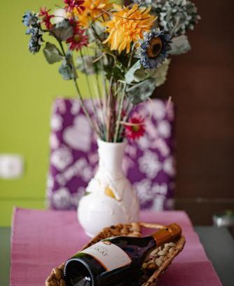 Catez ob Savi Apartment | Explore Apartments Pri Adamsovih: 9.3 Guest Rated Escape