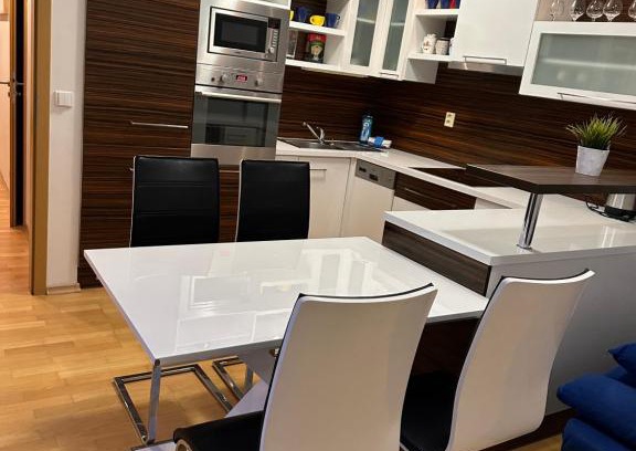 Brno Apartment | Modern Apartments Spačilova Near City Center with Spa Access