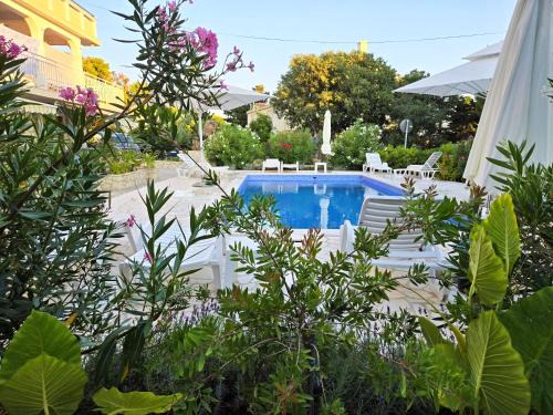 Novalja Apartment | Apartments Vida in Center Novalja with Pool