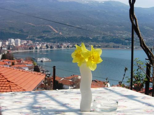 Varosh Bed & Breakfast | Family-Friendly Apartments Villa Saray with Kitchen Amenities