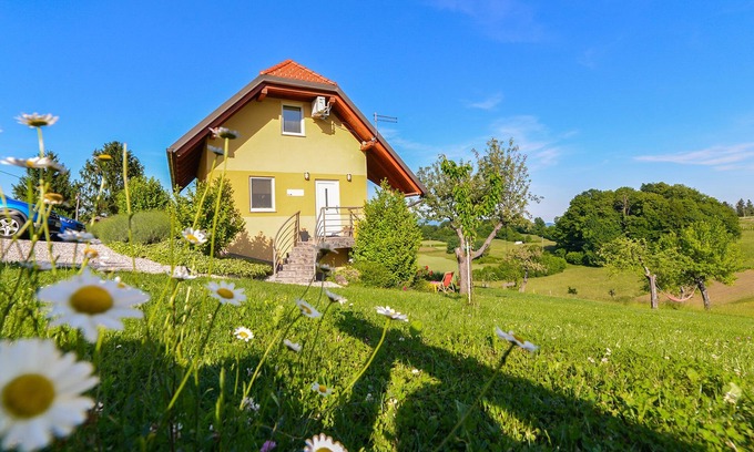 Brezice Apartment | Discover Vinska Trta Apartments: Pet-Friendly Ocean Views