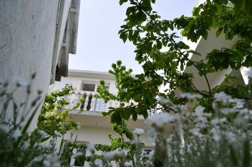 Muc Apartment | Relaxing Apartments with Pool in Gizdavac, Zagora