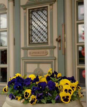 Neufrach Hotel | Discover Apfelblüte B&B: Scenic Stay Near Bodensee