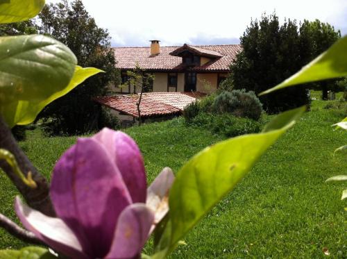 Ea House | Exceptional Stay at Apikale - Rated 9.7/10 & Accessible