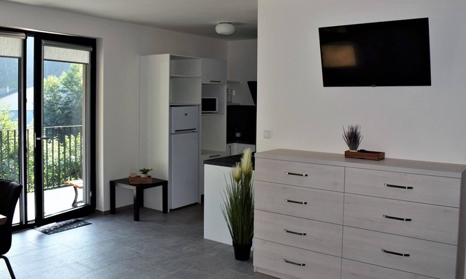 Liberec Apartment | Inviting APLUS PARK Apartments No.6 with Kitchen Access