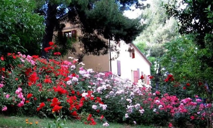Monte San Vito Other | Family-Friendly Retreat in the Marchigian Countryside