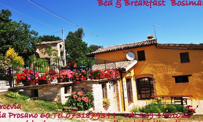 Avacelli Apartment | Cozy App. LA TANA B&B with Ocean View & Pet-Friendly Stay