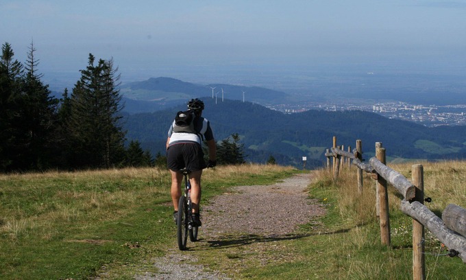 Munstertal Hotel | Tranquil App. Medium - Relax and Unwind in Nature