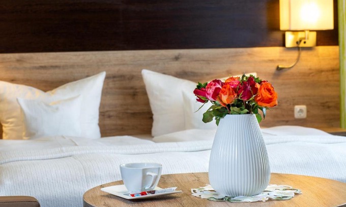 Rossdorf Apartment | Comfortable Appart Hotel Roßdorf with Breakfast & Family Options