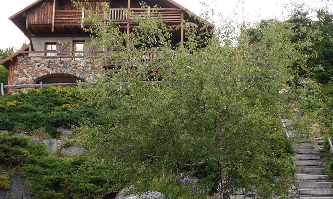 Villard-Reculas Apartment | Welcoming Appart RDC in Private Chalet at Alpe d'Huez