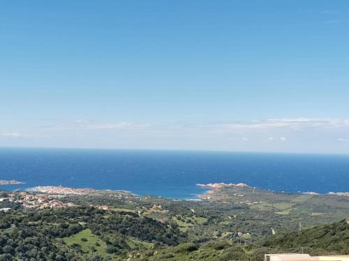 Trinita d'Agultu Apartment | Seaside Apartment with Pool: Rated 8.4/10 & Pet Friendly