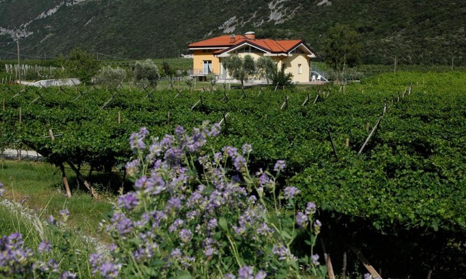 Dro Apartment | Pet-Friendly Appartamenti Al Vigneto with High Guest Ratings