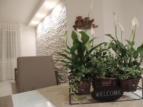 Levico Terme Apartment | Cozy Appartamenti Casa Prandel with Oceanfront Views