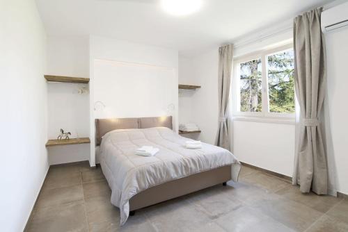 Bardolino Apartment | Discover Wheelchair Accessible Appartamenti Dama 1