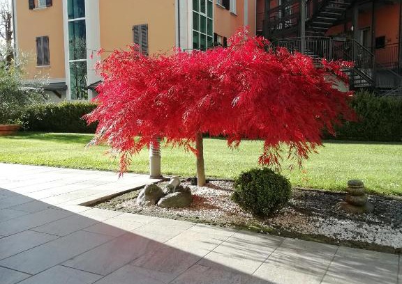 Madonna di Tirano Apartment | APPARTAMENTO ACERO - 2 min walk to Bernina Express