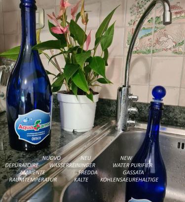 Torre di Fine Apartment | Elegant Appartamento Ai Tigli: Pet Friendly with Pool