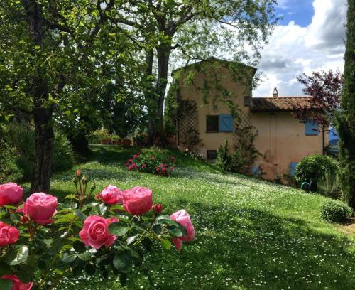 Palaia Apartment | Appartamento con terrazza privata e giardino vicino a Pisa e Firenze