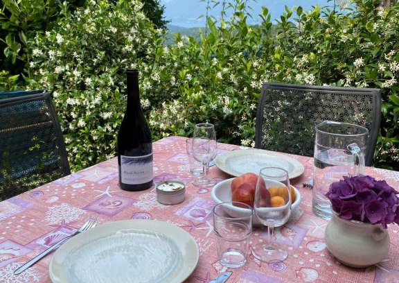 Monteggio Apartment | Idyllic Vacation Apartment Amidst Lush Vineyards