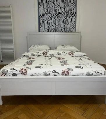 Muralto Apartment | Oceanfront Retreat: Pet-Friendly Apartment with Scenic Views