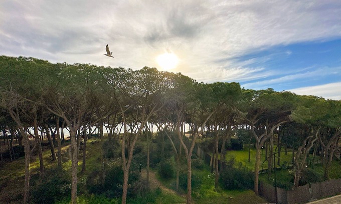 Follonica Apartment | Exceptional Appartamento Follonica 87 with Ocean View