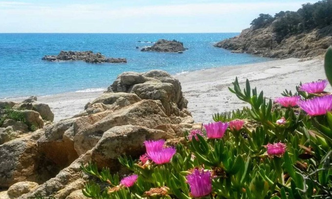 Sas Linnas Siccas House | Oceanfront Apartment with Direct Beach Access and Pool