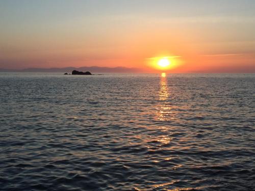 Pomonte Apartment | Oceanfront Appartamento Pomonte: Pet-Friendly Retreat