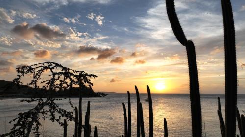 La Savane Apartment | Stylish Oceanfront Appartement "Les Ilots de Friar's Bay"