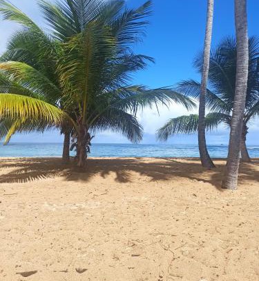 Sainte-Luce Apartment | Discover Alizé: Oceanfront Getaway with Pet-Friendly Comfort