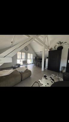 Selestat Apartment | Appartement atypique lumineux