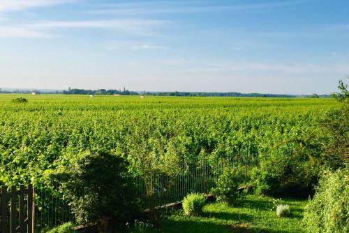 Gevrey-Chambertin Apartment | Scenic Appartement Overlooking Vineyards in Gevrey
