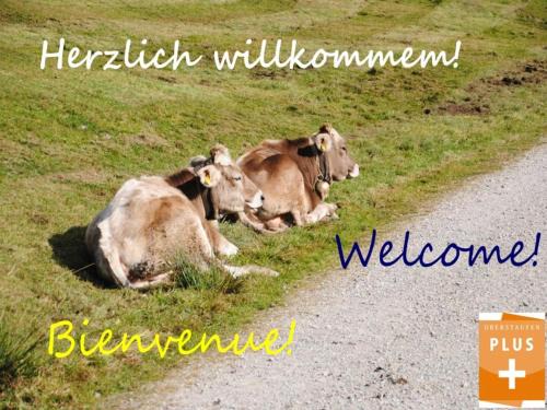 Steibis Apartment | Convenient Appartement Bergfrieden with Private Pool