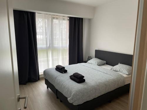 Machelen Apartment | Welcoming Appartement Near Brussels Airport - Rated 9/10