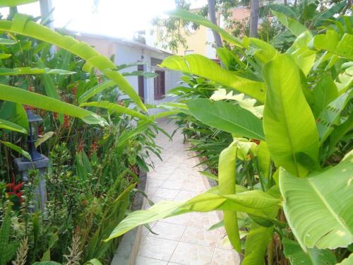 Port-Louis Apartment | Inviting Appartement in Port Louis with Garden & Family Amenities