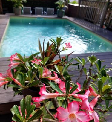 Saint-Francois Apartment | Appartement Cosy & Chill avec piscine - a PRIX REDUIT - à Saint Francois