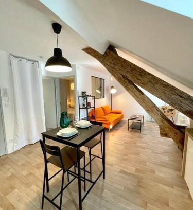 Rodez Apartment | Pet-Friendly Appartement Cosy in Hyper Centre with WIFI