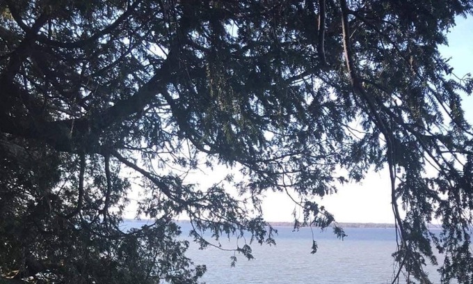 Saint-Armand Apartment | Appartement directement sur le bord du Lac Champlain