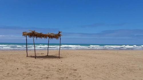Hjar Ennhal Apartment | Family-Friendly Oceanfront Apartment Near Houara Beach