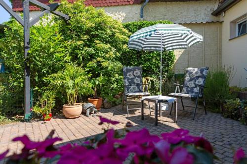 Dessau-Rosslau Apartment | Pet-Friendly Appartement in Süd - Guest Rated 10/10